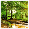 Xxl Wandbild Natur Pur Der Wald Quadrat Produktvorschau Frontal
