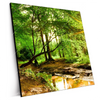 Xxl Wandbild Natur Pur Der Wald Quadrat Produktvorschau Seitlich