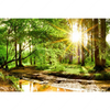 Xxl Wandbild Natur Pur Der Wald Querformat Motivvorschau