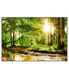 Xxl Wandbild Natur Pur Der Wald Querformat Produktvorschau Frontal