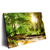 Xxl Wandbild Natur Pur Der Wald Querformat Produktvorschau Seitlich