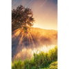 Xxl Wandbild Nebel Am Fluss Hochformat Motivvorschau