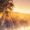 Xxl Wandbild Nebel Am Fluss Panorama Zoom