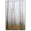 Xxl Wandbild Nebel Im Birkenwald Hochformat Produktvorschau Frontal