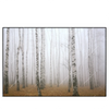Xxl Wandbild Nebel Im Birkenwald Querformat Produktvorschau Frontal