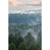 Xxl Wandbild Nebel Im Wald Hochformat Motivvorschau