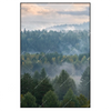 Xxl Wandbild Nebel Im Wald Hochformat Produktvorschau Frontal