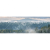 Xxl Wandbild Nebel Im Wald Panorama Motivvorschau