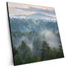Xxl Wandbild Nebel Im Wald Quadrat Produktvorschau Seitlich