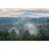 Xxl Wandbild Nebel Im Wald Querformat Motivvorschau