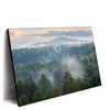 Xxl Wandbild Nebel Im Wald Querformat Produktvorschau Seitlich