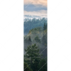 Xxl Wandbild Nebel Im Wald Schmal Motivvorschau