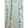 Xxl Wandbild Nebliger Birkenwald Hochformat Motivvorschau