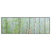 Xxl Wandbild Nebliger Birkenwald Panorama Produktvorschau Frontal