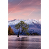 Xxl Wandbild Neuseeland Am Morgen Hochformat Motivvorschau
