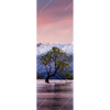 Xxl Wandbild Neuseeland Am Morgen Schmal Motivvorschau