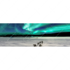 Xxl Wandbild Nordlichter Und Schlittenhunde Panorama Motivvorschau