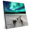 Xxl Wandbild Nordlichter Und Schlittenhunde Quadrat Produktvorschau Seitlich