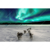 Xxl Wandbild Nordlichter Und Schlittenhunde Querformat Motivvorschau