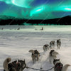 Xxl Wandbild Nordlichter Und Schlittenhunde Schmal Zoom