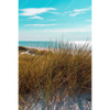 Xxl Wandbild Nordseelandschaft Auf Sylt Hochformat Motivvorschau