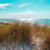 Xxl Wandbild Nordseelandschaft Auf Sylt Quadrat Motivvorschau