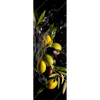 Xxl Wandbild Oliven Splash Schmal Motivvorschau