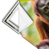 Xxl Wandbild Orang Utan Familie Im Regenwald Hochformat Materialvorschau