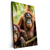 Xxl Wandbild Orang Utan Familie Im Regenwald Hochformat Produktvorschau Seitlich