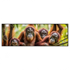 Xxl Wandbild Orang Utan Familie Im Regenwald Panorama Produktvorschau Frontal