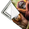 Xxl Wandbild Orang Utan Familie Im Regenwald Quadrat Materialvorschau