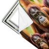 Xxl Wandbild Orang Utan Familie Im Regenwald Querformat Materialvorschau