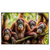 Xxl Wandbild Orang Utan Familie Im Regenwald Querformat Produktvorschau Frontal