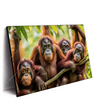 Xxl Wandbild Orang Utan Familie Im Regenwald Querformat Produktvorschau Seitlich
