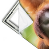 Xxl Wandbild Orang Utan Familie Im Regenwald Schmal Materialvorschau