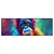 Xxl Wandbild Orang Utan In Regenbogenfarben Panorama Produktvorschau Frontal