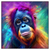 Xxl Wandbild Orang Utan In Regenbogenfarben Quadrat Produktvorschau Frontal