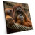 Xxl Wandbild Orang Utan Mit Sanftem Blick Quadrat Produktvorschau Seitlich