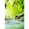 Xxl Wandbild Orchidee Im Japanischer Brunnen Hochformat Motivvorschau