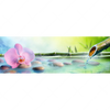Xxl Wandbild Orchidee Im Japanischer Brunnen Panorama Motivvorschau