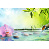 Xxl Wandbild Orchidee Im Japanischer Brunnen Querformat Motivvorschau