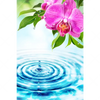 Xxl Wandbild Orchidee Wassertropfen Hochformat Motivvorschau