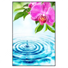 Xxl Wandbild Orchidee Wassertropfen Hochformat Produktvorschau Frontal