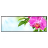 Xxl Wandbild Orchidee Wassertropfen Panorama Produktvorschau Frontal