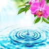 Xxl Wandbild Orchidee Wassertropfen Quadrat Motivvorschau