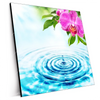 Xxl Wandbild Orchidee Wassertropfen Quadrat Produktvorschau Seitlich