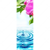 Xxl Wandbild Orchidee Wassertropfen Schmal Motivvorschau