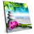 Xxl Wandbild Orchidee Zensteine Quadrat Produktvorschau Seitlich