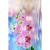 Xxl Wandbild Orchideen Blueten Hochformat Motivvorschau