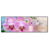 Xxl Wandbild Orchideen Blueten Panorama Produktvorschau Frontal
